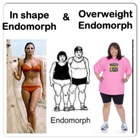 endomorph-body-type
